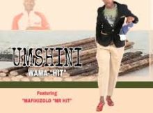 Umshini wama hit – Wang’shiya Ngisak’thanda