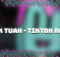 Hawk Tuah - TikTok Song REMIX