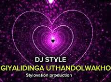 Dj style - Ngiyalidinga Uthando lwakho