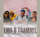 Ema O Tsamaye - Mapara A Jazz Ft (Dj Sunco And Queen Jenny SA)