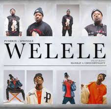 CannadiQ Soul - Welele Flavour #014