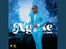 DJ Dog – Ngeke