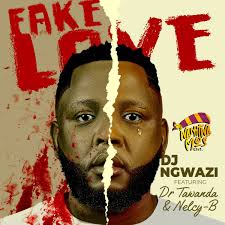 DJ Ngwazi – Fake Love Ft. Dr Tawanda & Nelcy B