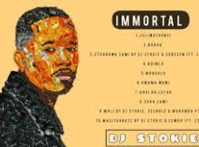 DJ Stokie – Immortal Album Zip Download