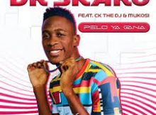 Dr Skaro - Pelo ya gana (Visualizer) ft. CK THE DJ, Mukosi