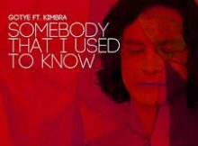 Gotye - somebody that i used to know remix