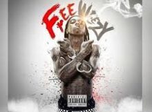 Lil Wayne - Free Weezy Album FWA Zip Download