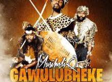 Sjava - Gawulubheke Andiswa Dlungele