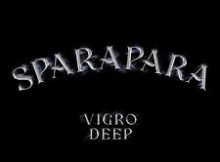 Vigro Deep - New Album Blue skies 2.0 2024 Amapiano