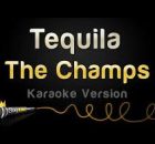 The Only One In The Song Tequila Is Tequila