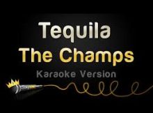 The Only One In The Song Tequila Is Tequila