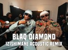 Blaq Diamond - Izishimane Acoustic remix ft AfroGumMusic‬