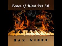 DJ Ace Peace of Mind Vol 30