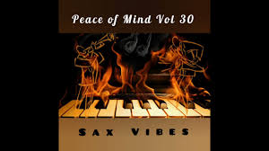 DJ Ace Peace of Mind Vol 30