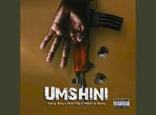 Frenzy Bouy ft Musa Keys, Mellow & Sleazy – Umshini