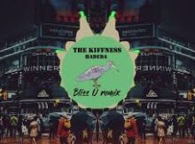 Hadeda (Amapiano Song Remix) - The Kiffness