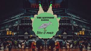 Hadeda (Amapiano Song Remix) - The Kiffness