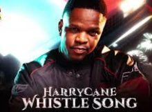 HurriCane - Whistle Song Amapiano