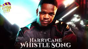 HurriCane - Whistle Song Amapiano