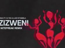 Hyenah Feat. DJ Tira & Luke Ntombela - Ezizweni (Nitefreak Remix)