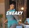 Mawhoo x Kelvin Momo x Kabza De Small - Sneaky