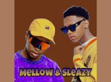 Mellow & Sleazy - Bazoz'funda feat. Scotts Maphuma & Phushkin RSA