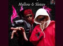 Mellow & Sleazy, LeeMcKrazy - Ezami ft. Djy'Maten