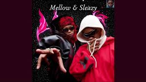 Mellow & Sleazy, LeeMcKrazy - Ezami ft. Djy'Maten