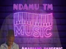 Ndamu TM Music - This Is We Celebrate Amapiano