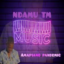 Ndamu TM Music - This Is We Celebrate Amapiano