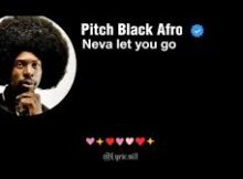 Pitch Black Afro - Neva Let U Go