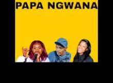 Shebeshxt - Papa Ngwana Feat Kharishma Shandesh