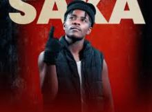 Skeem Saka - Don Edward Ft. Xduppy