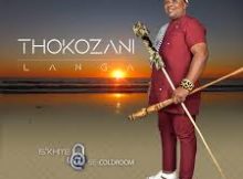 Thokozani Langa - Indondo Song