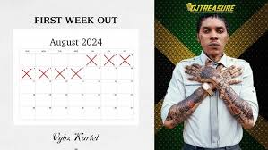 Vibz Kartel - First Week Out Mixtape Zip 2024