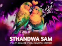 2Point1 - Sthandwa Sami