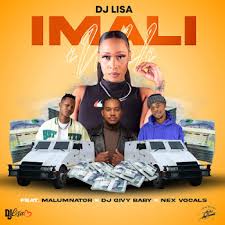 Dj Lisa - Imali feat. MalumNator x Dj Givy Baby x Nex Vocals