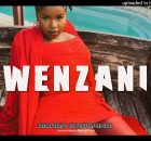 Kabza De Small – Wenzani Amapiano Ft. Dj Maphorisa, Nkosazana Daughter & Boohle