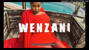 Kabza De Small – Wenzani Amapiano Ft. Dj Maphorisa, Nkosazana Daughter & Boohle