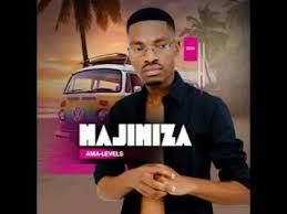 MAJIMIZA – NGIZOKUNAKEKELA (feat. LUNGELO MHLONGO)