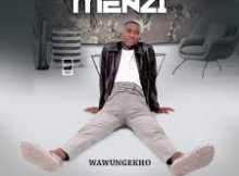 Menzi - Emashingeni Ziyakhala Maskandi Song