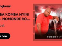 Mr Post - FAMBA KOMBA NYINI (feat. NOMONDE RODGER)