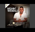 Mshinwemali - Ukungibhedela (feat. Umafikizolo & Londeka Shangase)