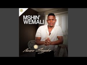 Mshinwemali - Ukungibhedela (feat. Umafikizolo & Londeka Shangase)