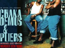 Murder She Wrote - Chaka Demus and Pliers