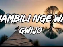 Song: Phambili Nge War Gwijo