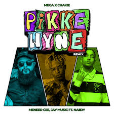 Pikkewyne Remix Song - Meneer Cee