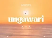 Supertonic – UNGAWARI