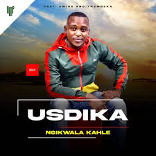 USDIKA – NGIKWALE KAHLE (feat. ZWIDE & THEMBEKA)