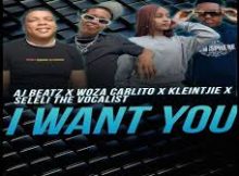 Woza Carlito – I Want You (feat. Aj Beatz, Kleintjie & Seleli The Vocalist)